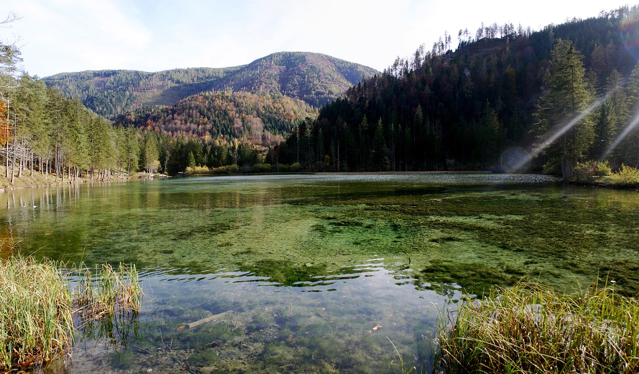 découvrez tout ce qu'il faut savoir sur la compatibilité descendante (backward compatibility), une fonctionnalité essentielle qui permet aux nouvelles versions de logiciels ou de matériel de fonctionner avec les anciennes technologies. améliorez votre compréhension des enjeux liés à cette compatibilité et apprenez comment elle impacte les utilisateurs et les entreprises.